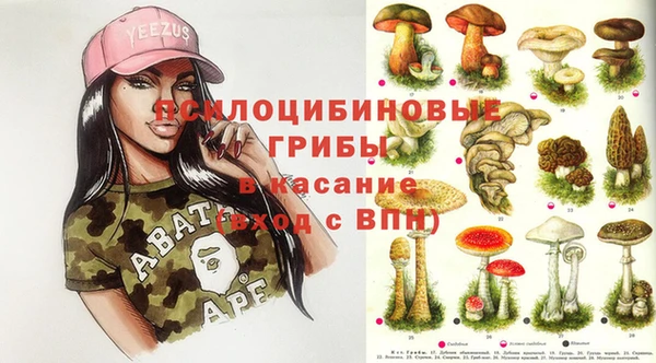 не бодяженный Медногорск