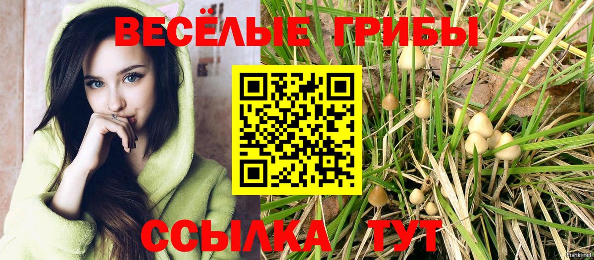 Галлюциногенные грибы Psilocybe Феодосия
