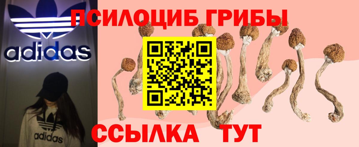 Галлюциногенные грибы прущие грибы  где найти наркотики  Вход с VPN  Феодосия  Псилоцибиновые грибы MAGIC MUSHROOMS 