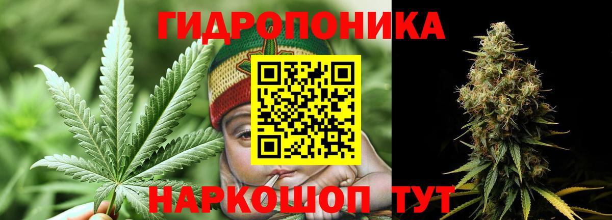 Канабис VHQ  Шишки марихуана THC 21%  Конопля OG Kush  Вход с VPN  Феодосия  Конопля тримм 